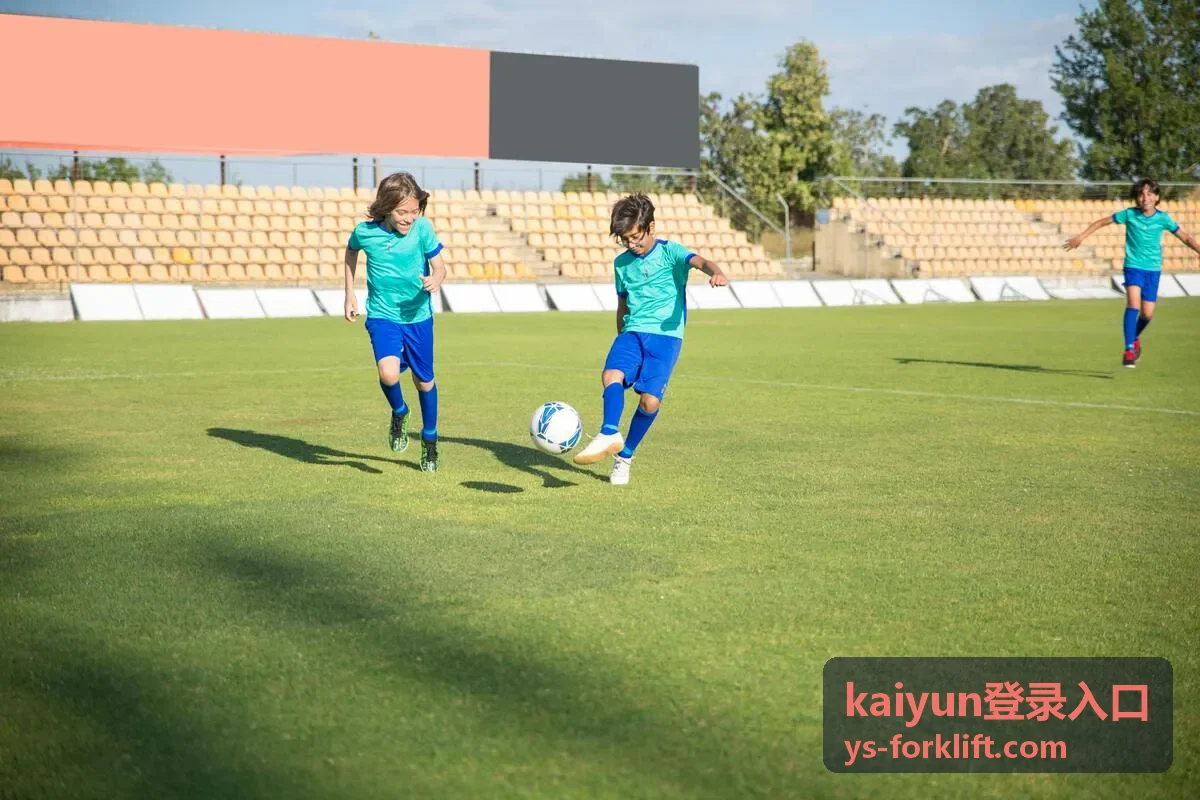 kaiyun登录入口 驻场维保与定期巡检服务