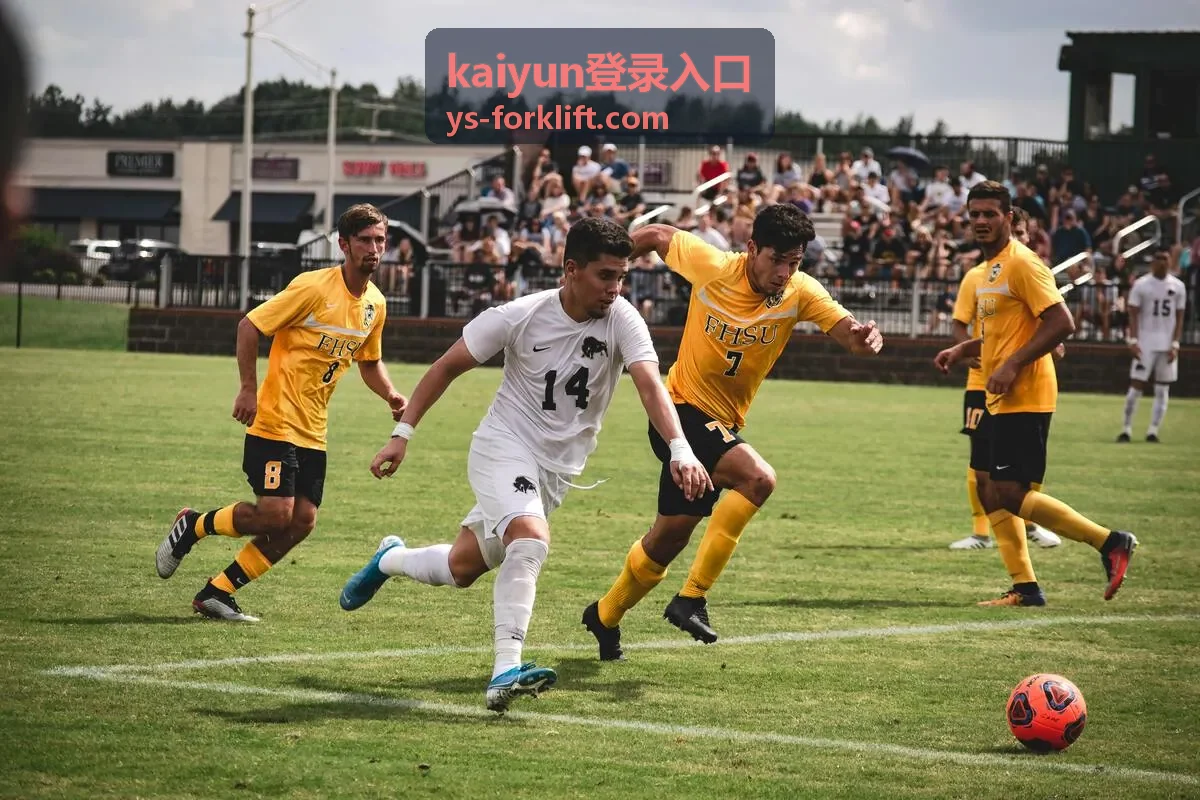 kaiyun登录入口工单提交与进度查询界面