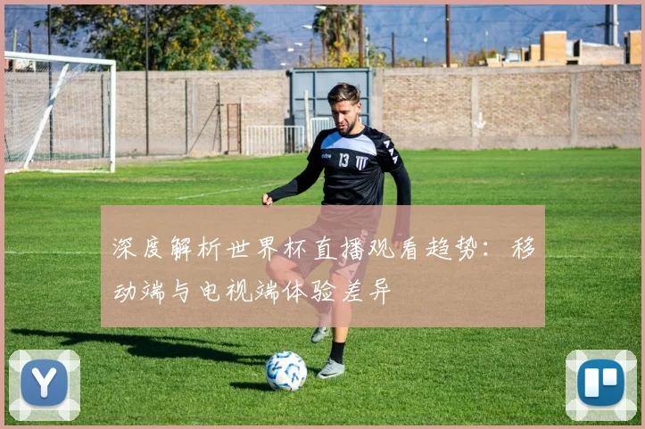 深度解析世界杯直播观看趋势:移动端与电视端体验差异
