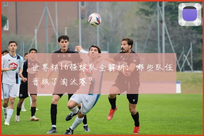 世界杯16强球队全解析:哪些队伍晋级了淘汰赛?