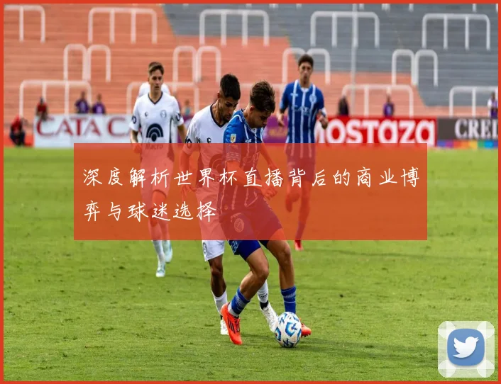 深度解析世界杯直播背后的商业博弈与球迷选择