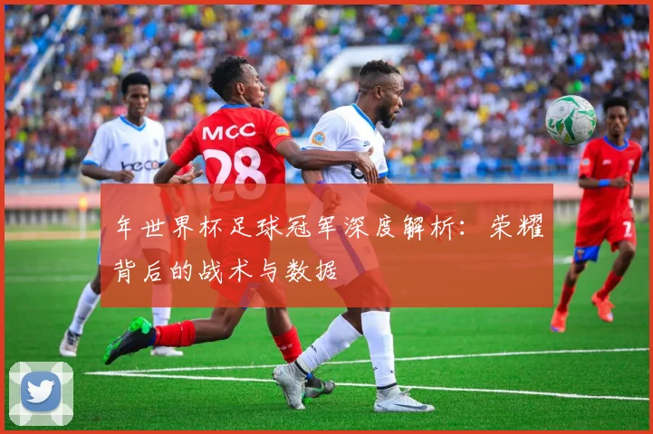 年世界杯足球冠军深度解析：荣耀背后的战术与数据